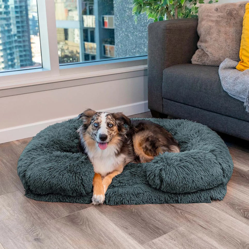 Rustgevend Hondenbed met Geheugenfoam - Charlie