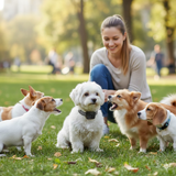 BarkEase | Zacht Trainingshalsband voor Kleine Honden