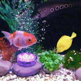 Magic Lights - Waterdichte LED-verlichting voor sfeereffecten
