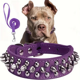 Verstelbare Spiked Hondenhalsband - Sterk en Veilig voor Grote Honden