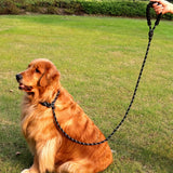 Reflecterende Hondenriem met Gevoerde Handgreep – Verstelbaar en Duurzaam voor Alle Honden