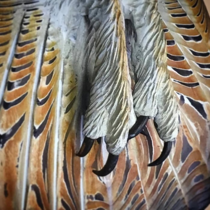 Houten wanddecoratie – Uil “Majestic”