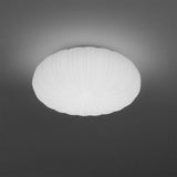 Robby Plafondlamp – Elegante Dimbare LED Verlichting met Afstandsbediening