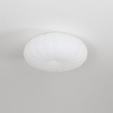 Robby Plafondlamp – Elegante Dimbare LED Verlichting met Afstandsbediening