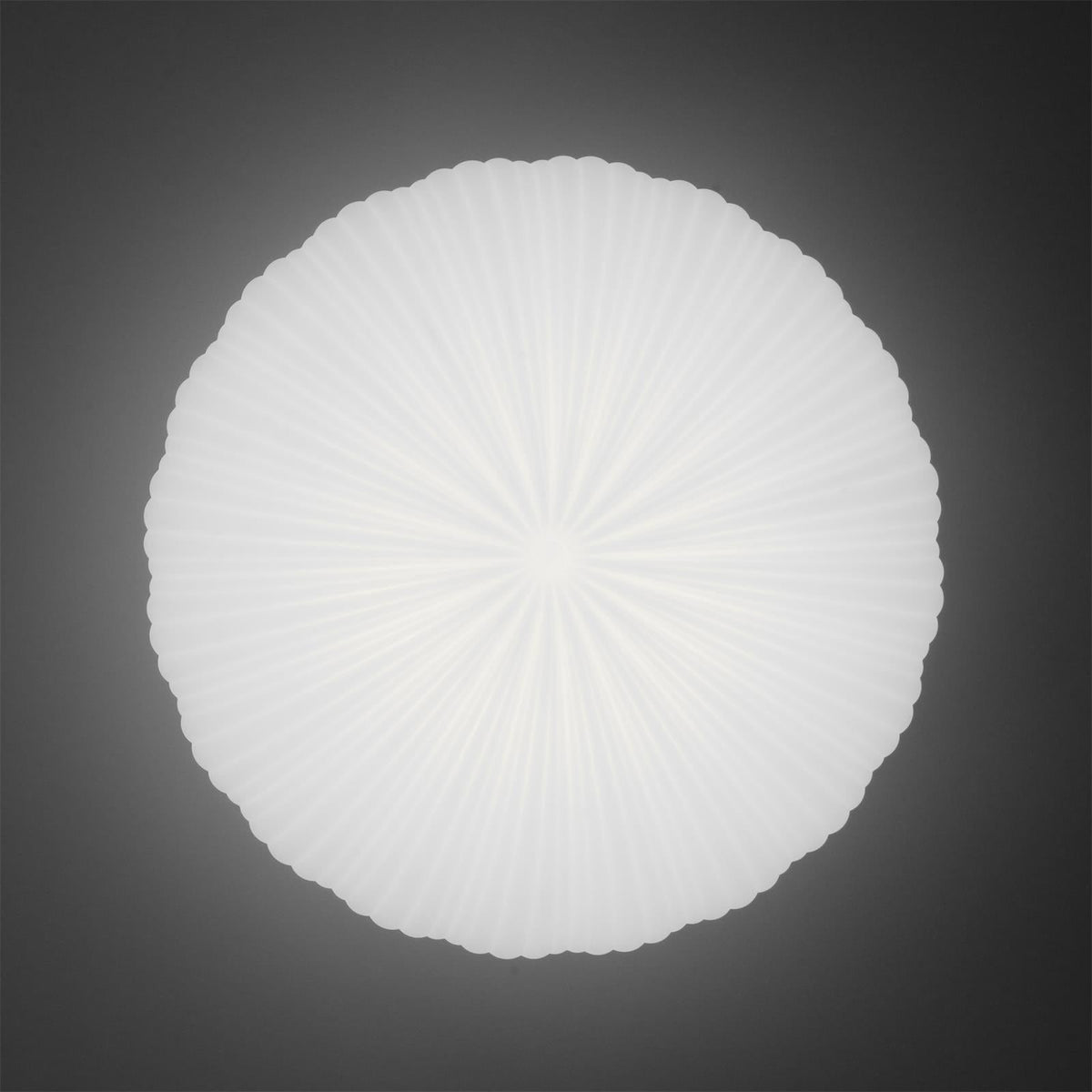 Robby Plafondlamp – Elegante Dimbare LED Verlichting met Afstandsbediening