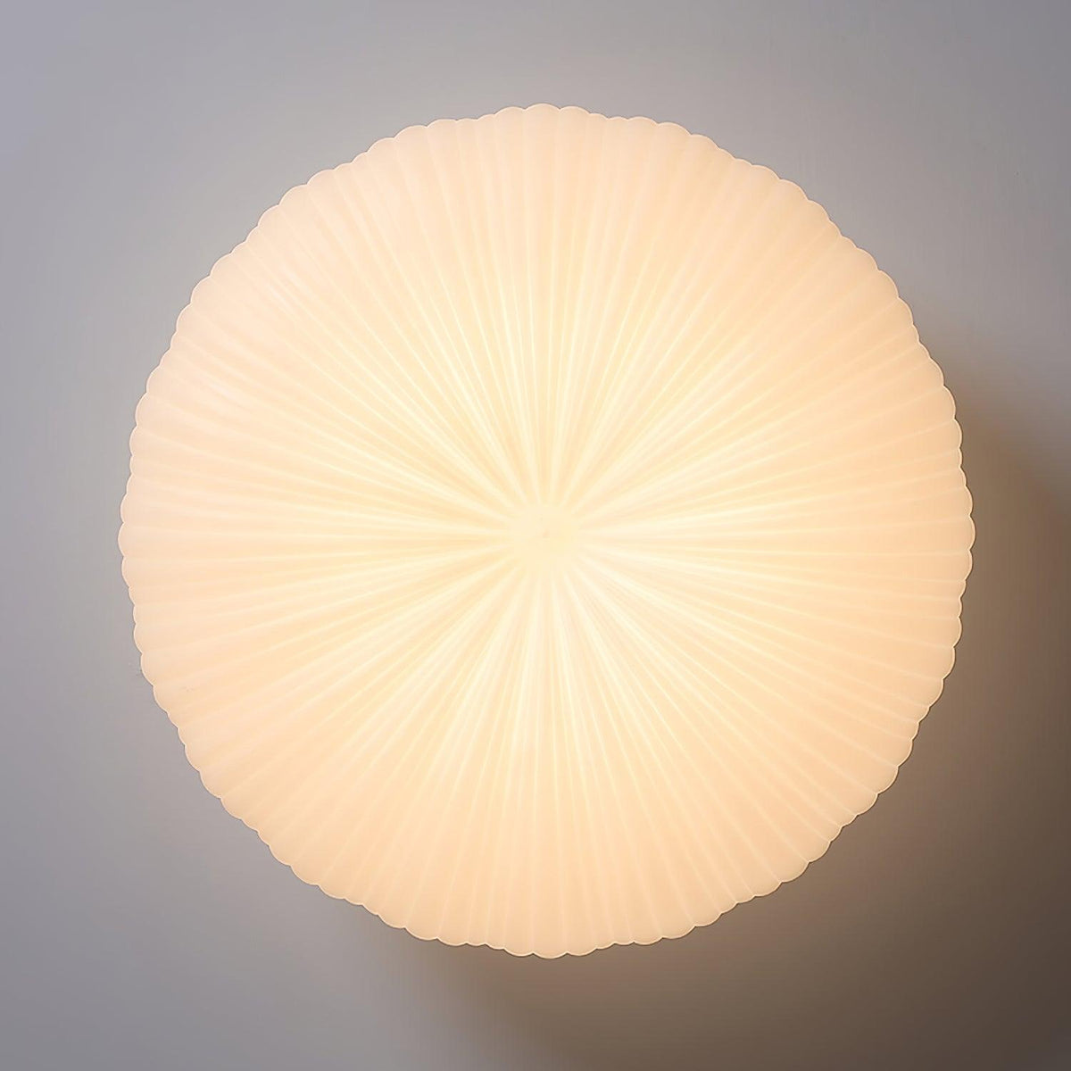 Robby Plafondlamp – Elegante Dimbare LED Verlichting met Afstandsbediening