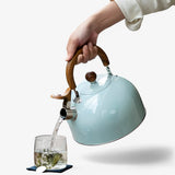 Thermora Waterketel – Elegante fluitketel voor inductiekookplaat met een capaciteit van 2,5L en veiligheidsfuncties