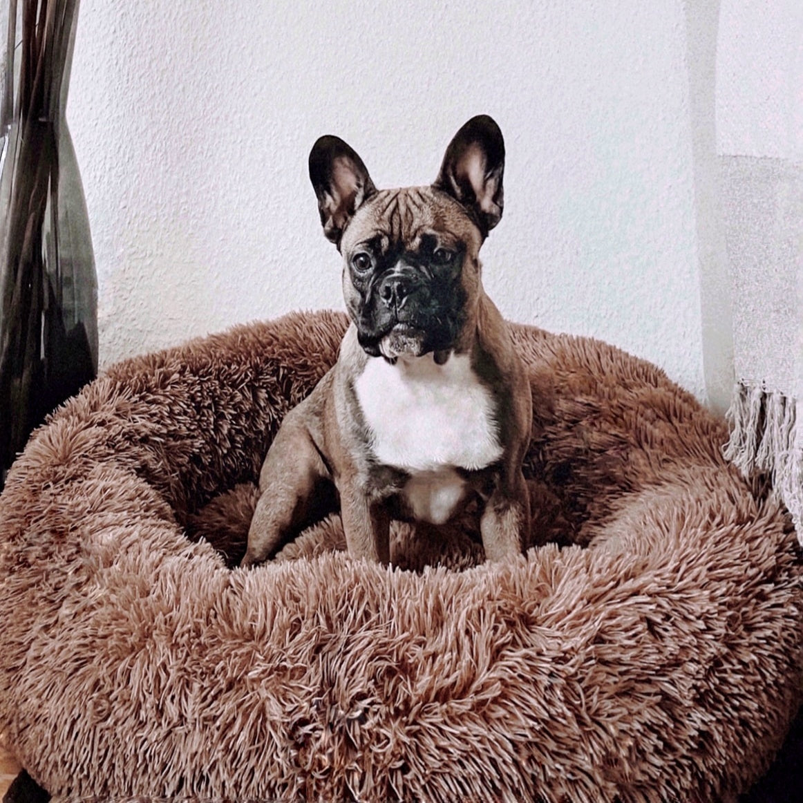 Hondenbed Fluffy Plus – Het Origineel