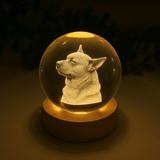 The Memory Ball | Eeuwige herinnering aan je trouwe vriend
