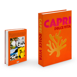 ChicFaux Decoratie Boeken - Coffee Table Books - Boeken voor Decoratie