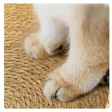 WhiskerLounge | Kattenbed – Ontspanning en Veiligheid