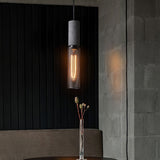 Beton Industrie Hanglamp
