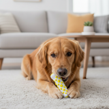 ZenDog Kalmerend Hondenspeelgoed | Geïnfuseerd met Lavendel & Kamille | Niet-toxisch Hoog-Duurzaam Polymeer | Angstvermindering Sensorisch Hardware | Pliable Tactiele Oppervlakte