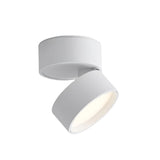 Savvina Opbouw Plafondlamp – Verstelbare Elegantie voor Nauwkeurige Verlichting