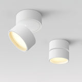 Savvina Opbouw Plafondlamp – Verstelbare Elegantie voor Nauwkeurige Verlichting