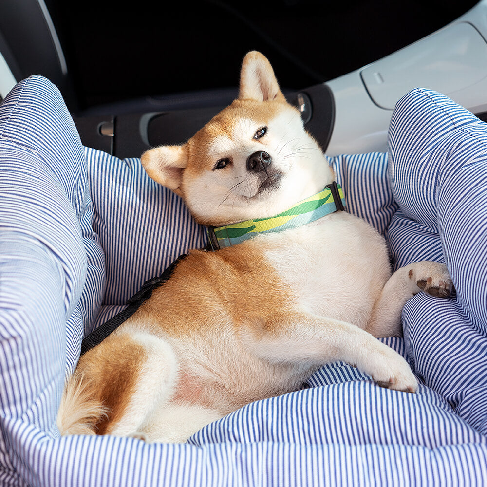 Comfortabele Hondenmand voor in de Auto - TravelPaw