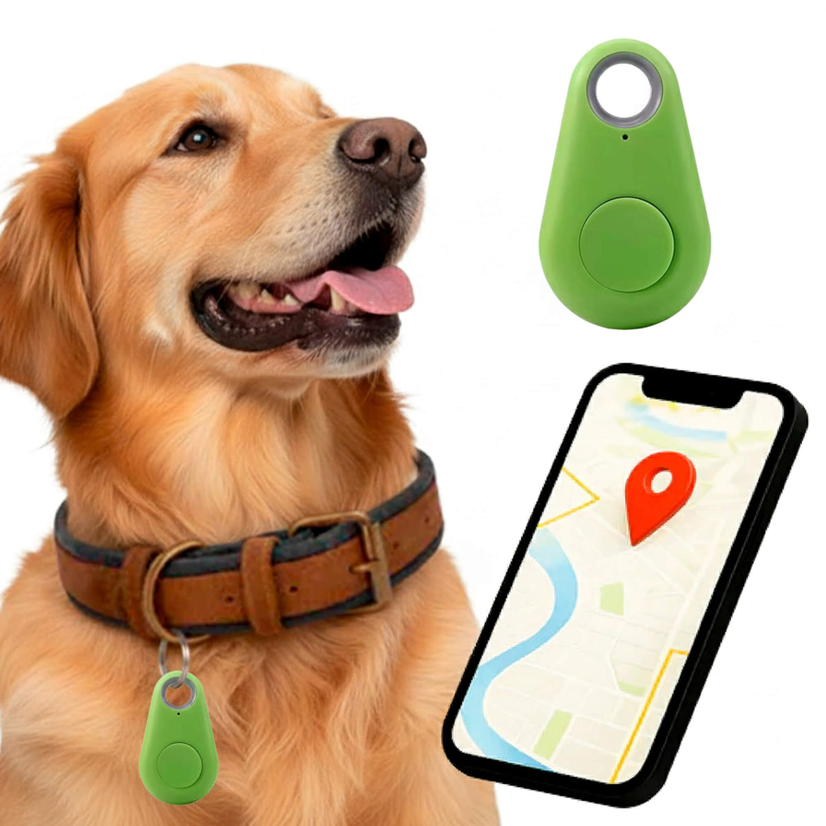 Kirra GPS Waterdichte Houndtracker Met Live Locatie-updates