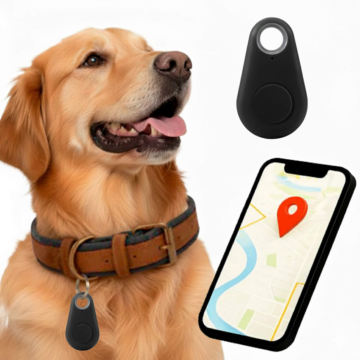 Kirra GPS Waterdichte Houndtracker Met Live Locatie-updates