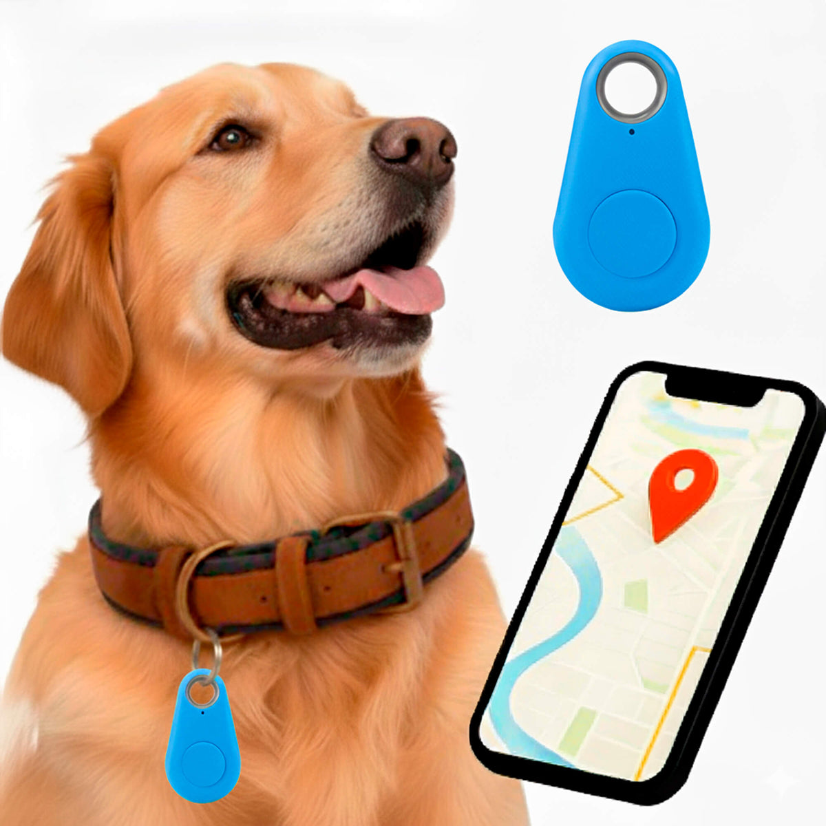 Kirra GPS Waterdichte Houndtracker Met Live Locatie-updates