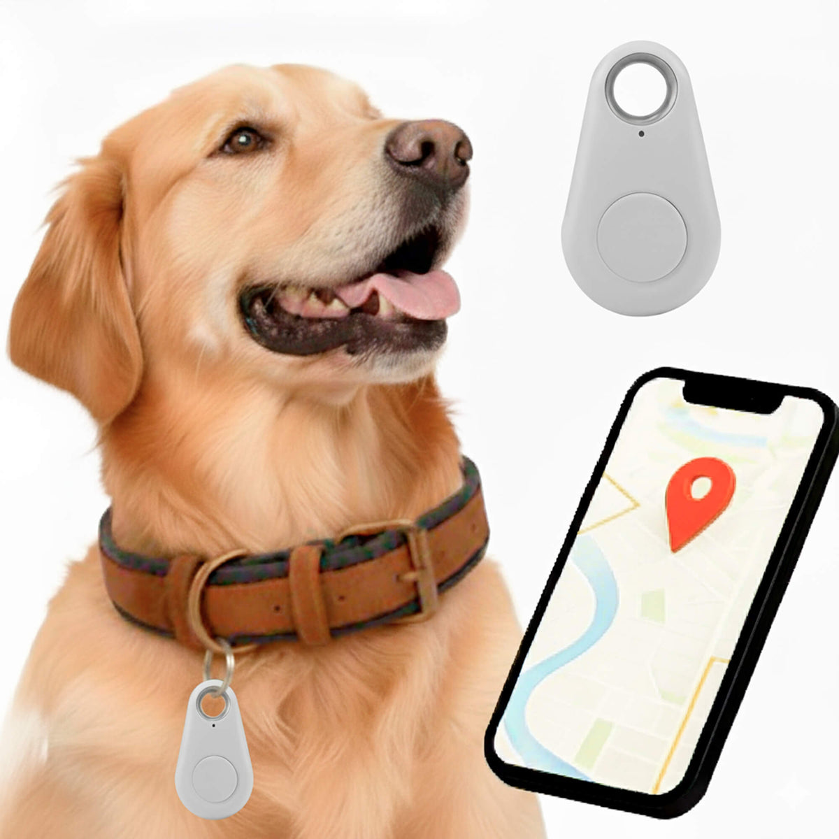 Kirra GPS Waterdichte Houndtracker Met Live Locatie-updates