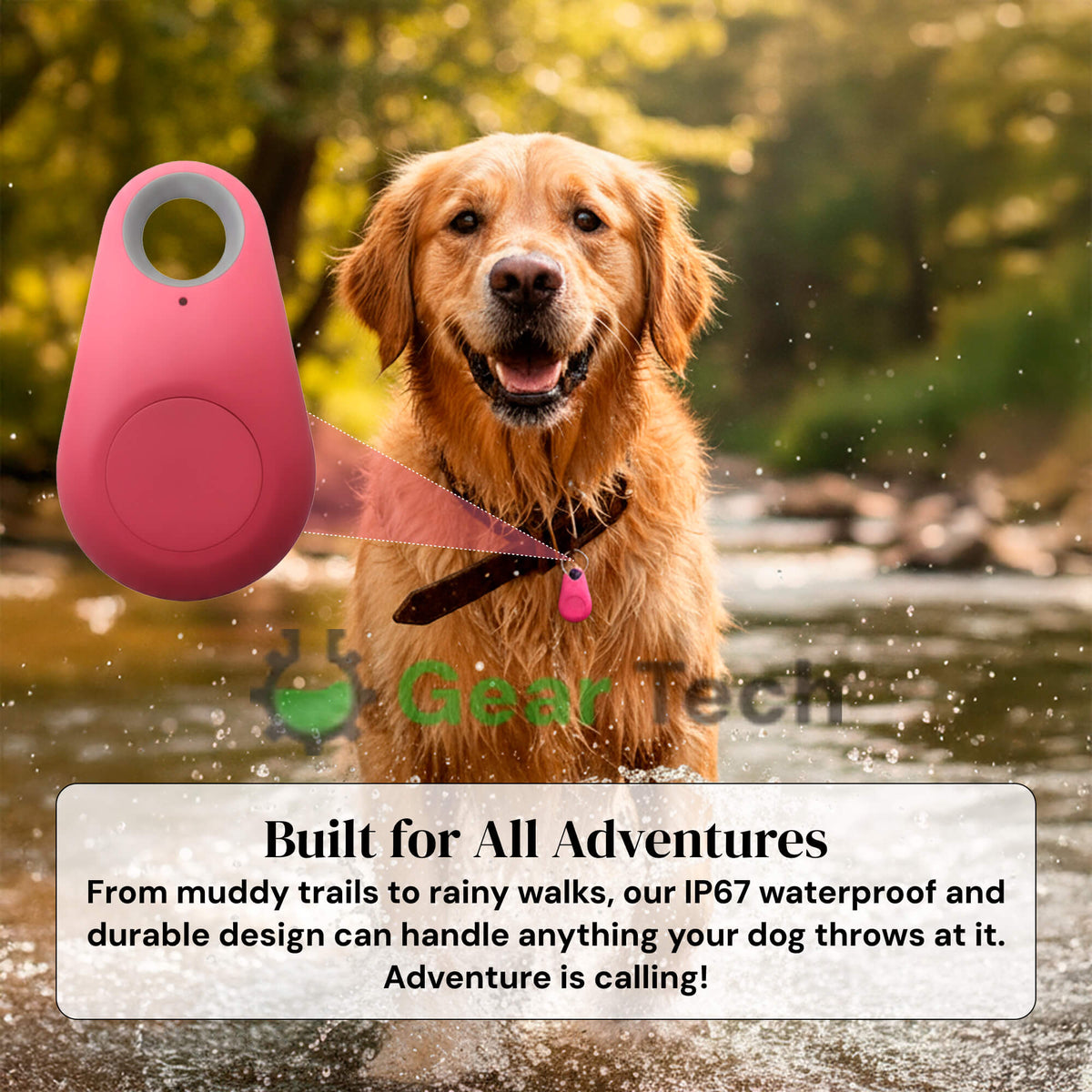 Kirra GPS Waterdichte Houndtracker Met Live Locatie-updates