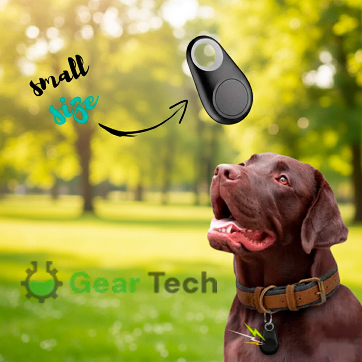 Kirra GPS Waterdichte Houndtracker Met Live Locatie-updates