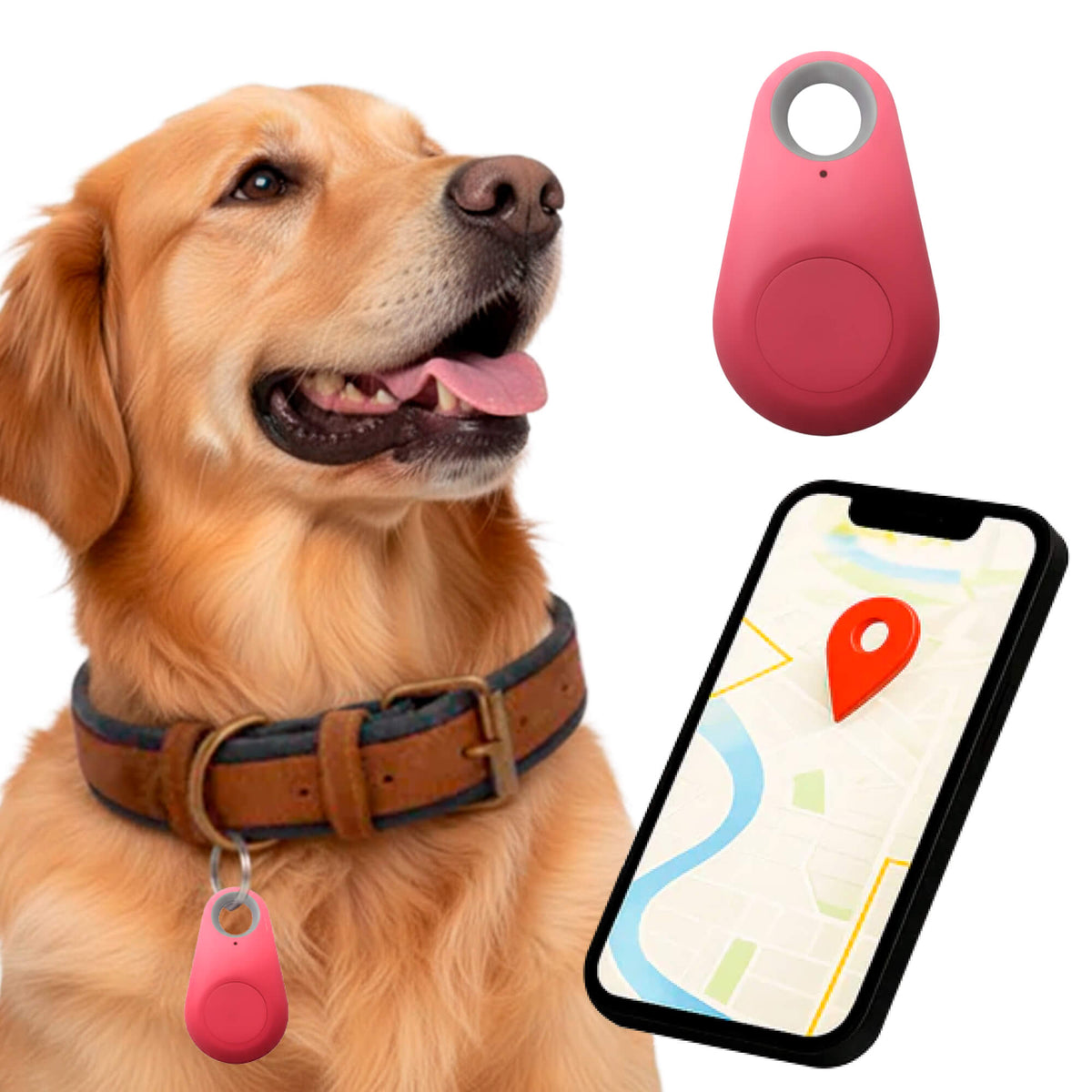 Kirra GPS Waterdichte Houndtracker Met Live Locatie-updates