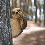 TreeBuddy - Schattige Luiaard Boomknuffelaar voor Buitendecoratie