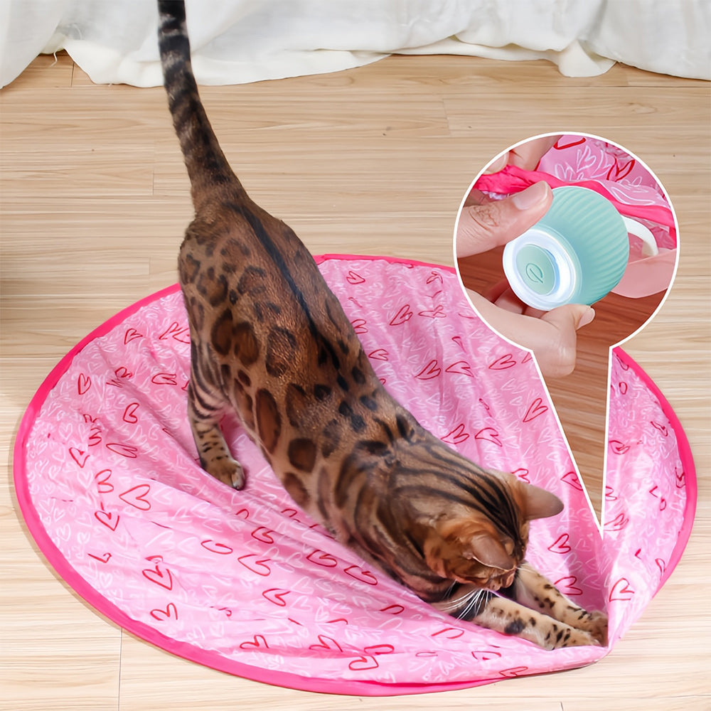 Interactief Bewegend Speelgoed voor Katten – WhiskRoll