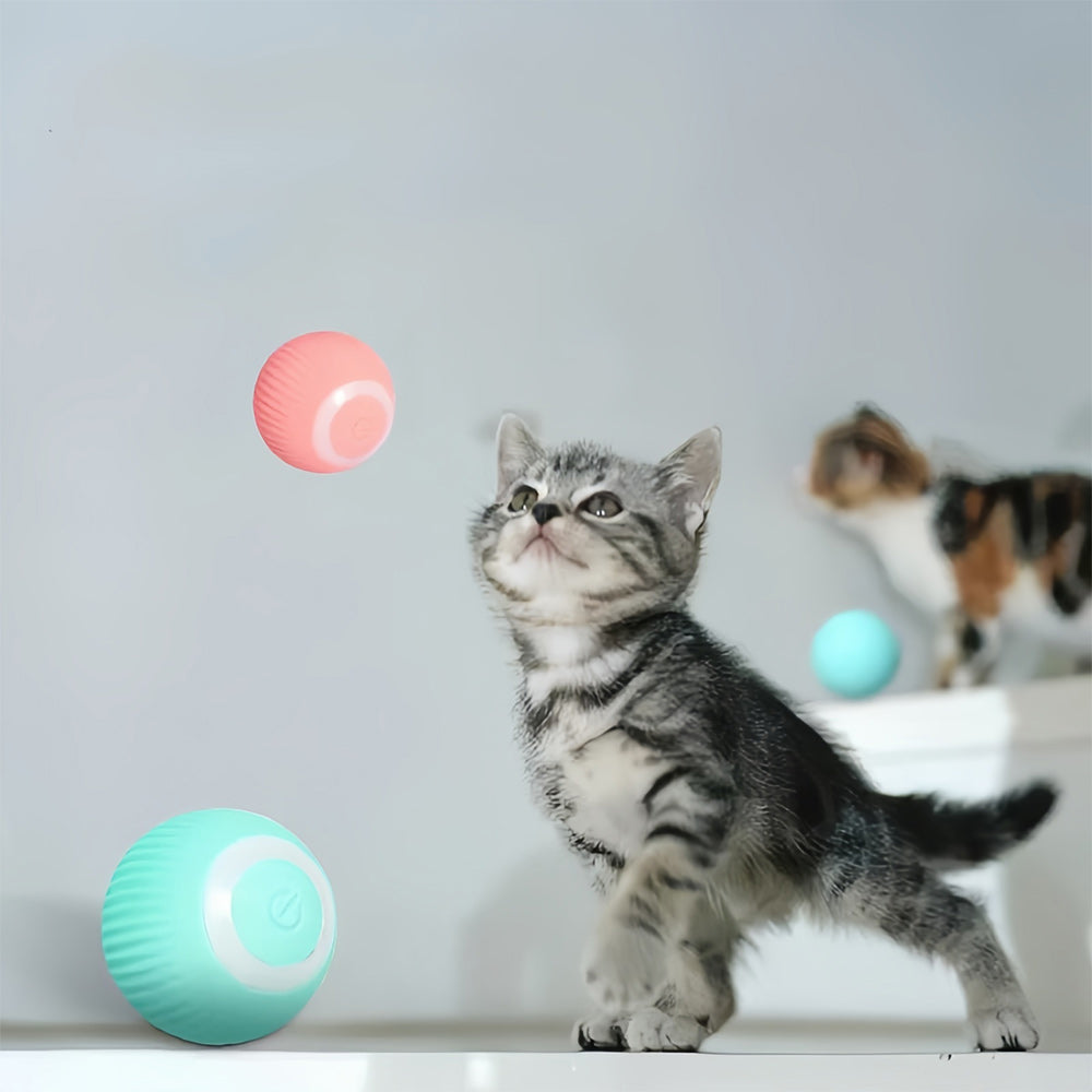 Interactief Bewegend Speelgoed voor Katten – WhiskRoll