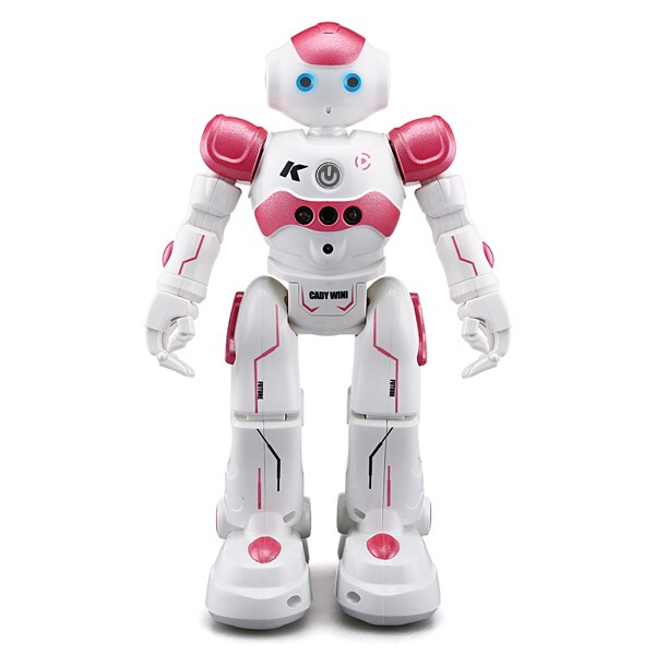 Interactieve Onderwijsrobot - NovaBot
