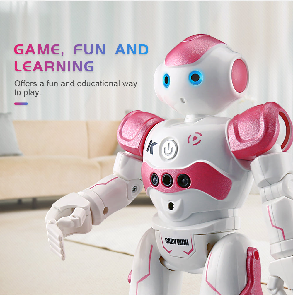 Interactieve Onderwijsrobot - NovaBot