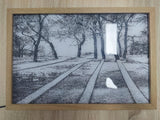 LED Verlichtingsschilderij – Luminza
