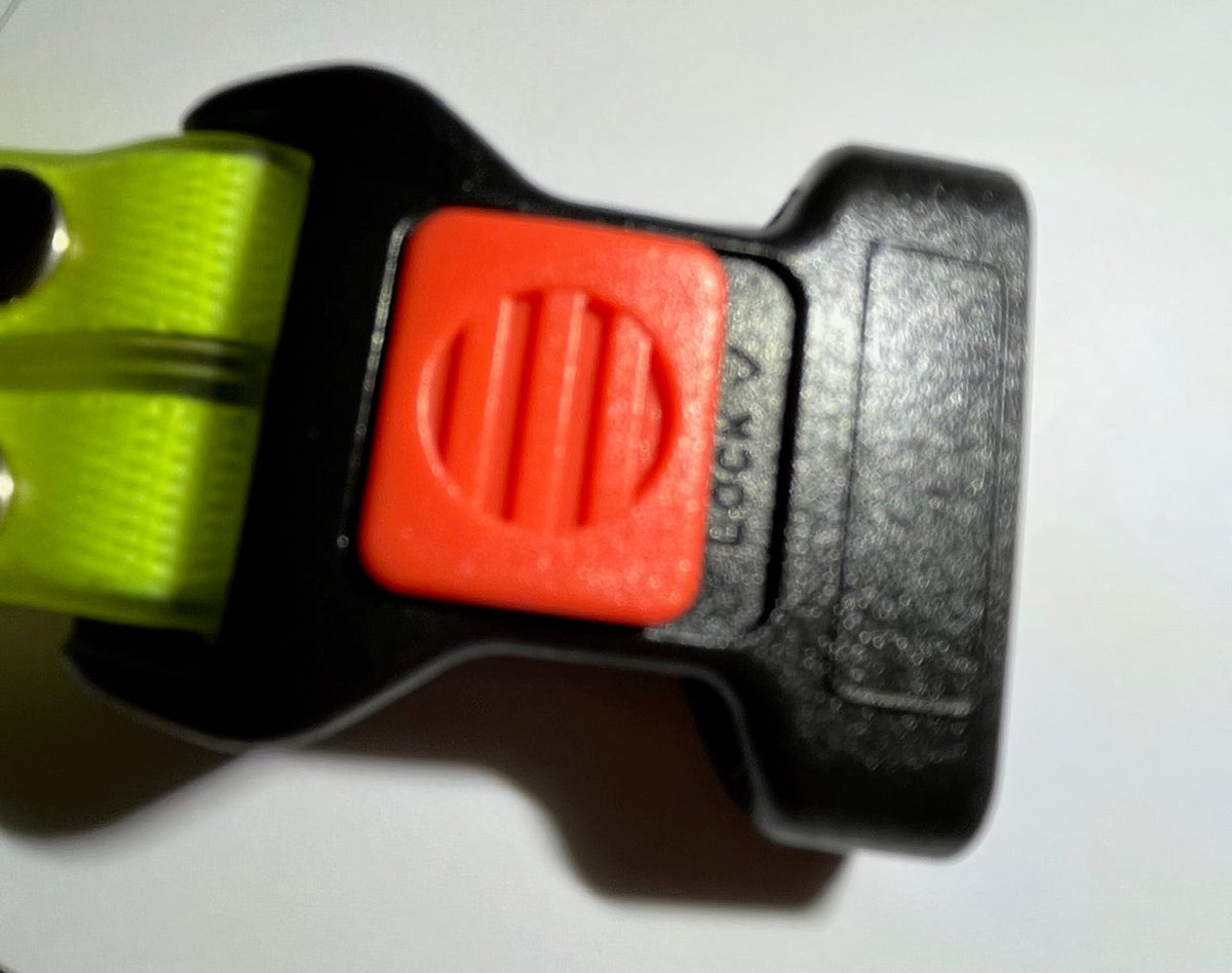 Verlicht LED Hondenhalsband met Leash - NightBright