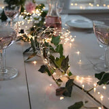 LED Lichtsnoer