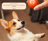 Smartball 2.0 - Automatisch rollende speelbal!