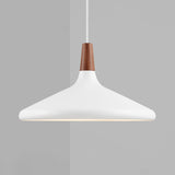 Nori Hanglamp