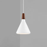 Nori Hanglamp