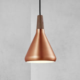 Nori Hanglamp