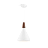 Nori Hanglamp