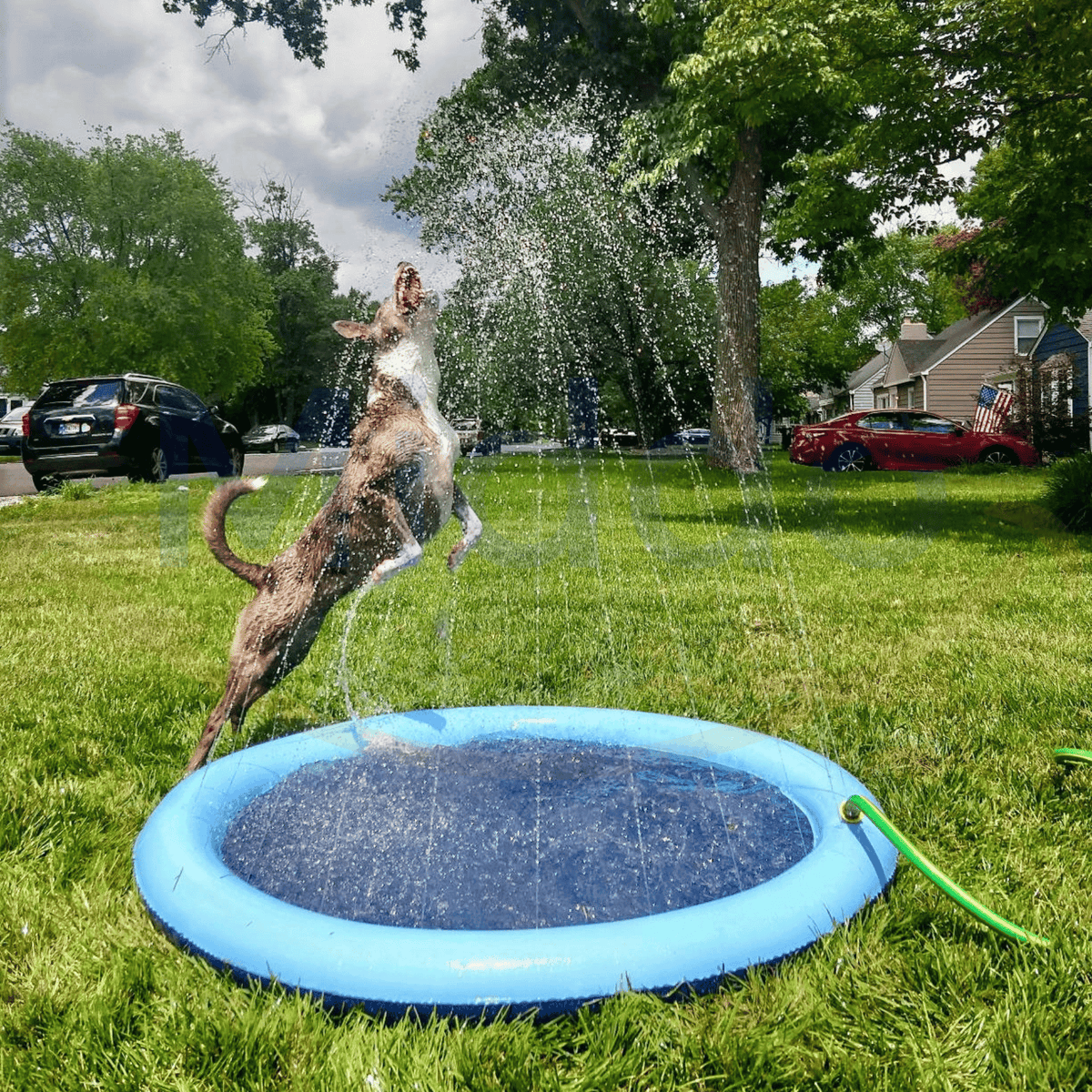 Speelgebied met waterstralen – SplashZone