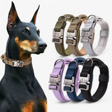 TACTICALK9 HONDENHALSBAND SET – Robuuste & verstelbare halsband voor training & dagelijks gebruik