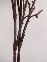 Gedroogde Kunsttak Rattan Bloem | Decoratietak | Sfeervolle Droogbloemen voor Woondecoratie