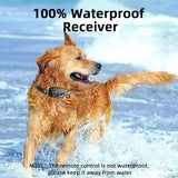 ProTrain – Oplaadbare Waterdichte Honden Trainingshalsband