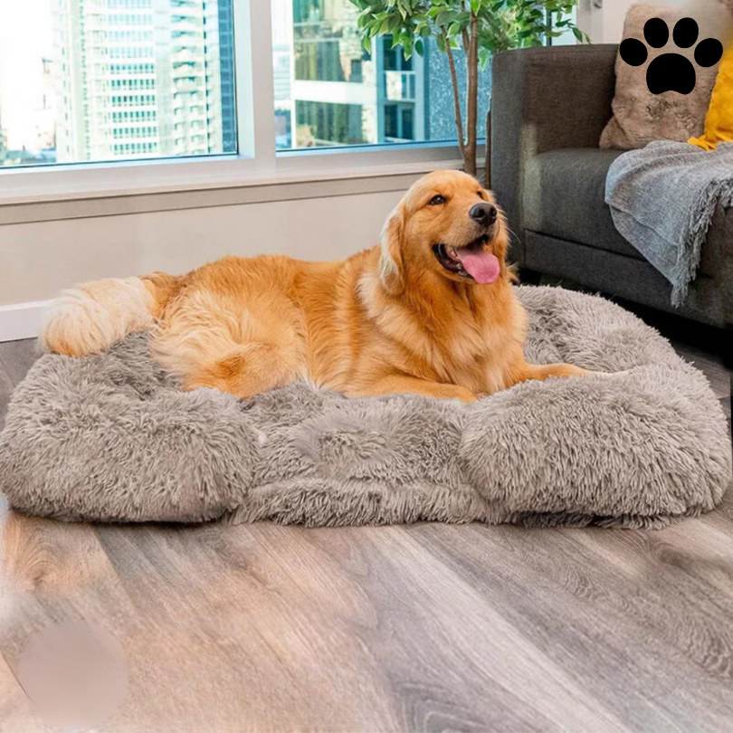 Rustgevend Hondenbed met Geheugenfoam - Charlie