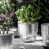 HydraPot | Blijf zorgeloos en houd je planten gehydrateerd met deze zelfwaterende pot!