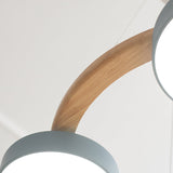 Sienna Bird Ronde Kroonluchter