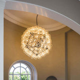 Taraxacum Hanglamp