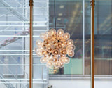 Taraxacum Hanglamp