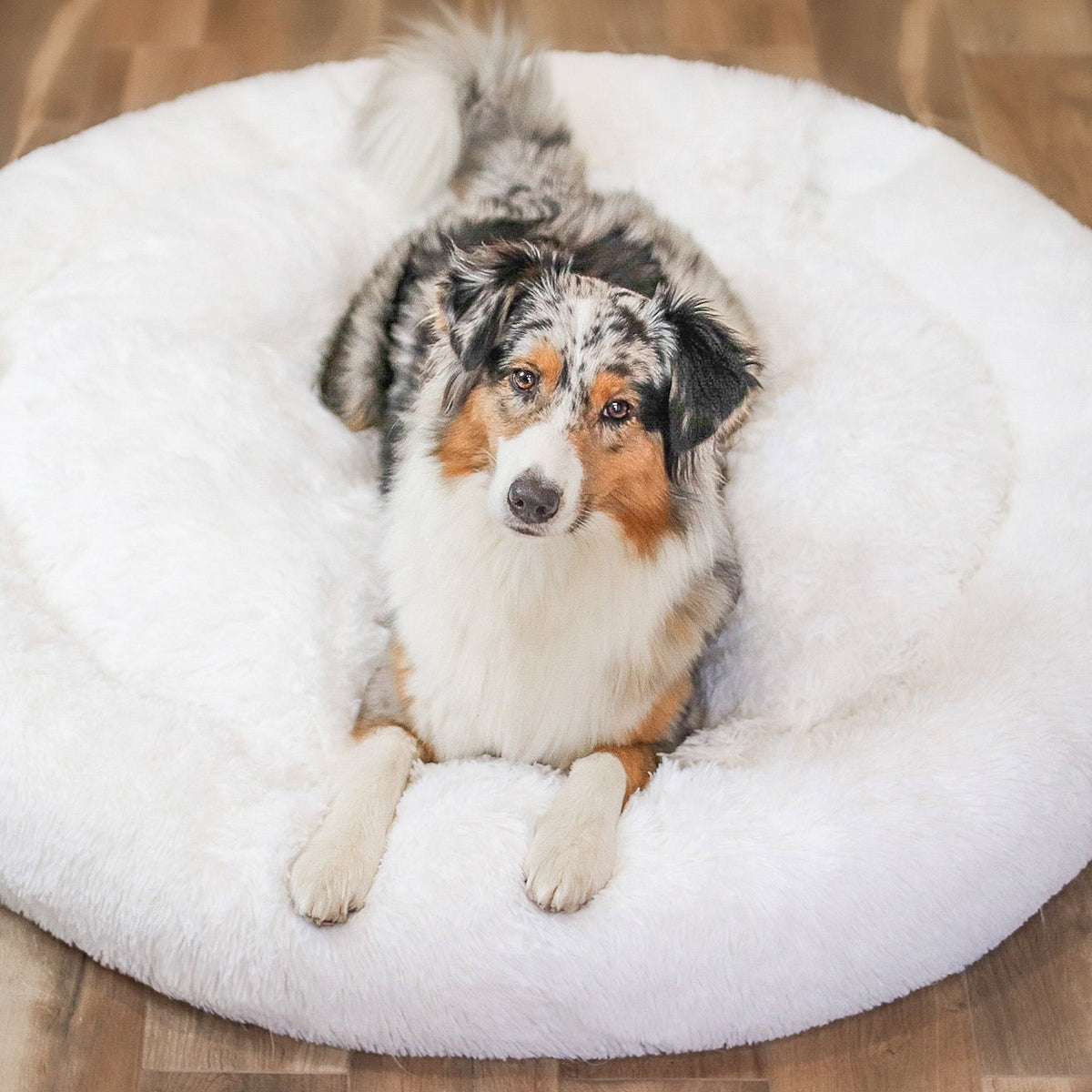 Hondenbed Fluffy Plus – Het Origineel